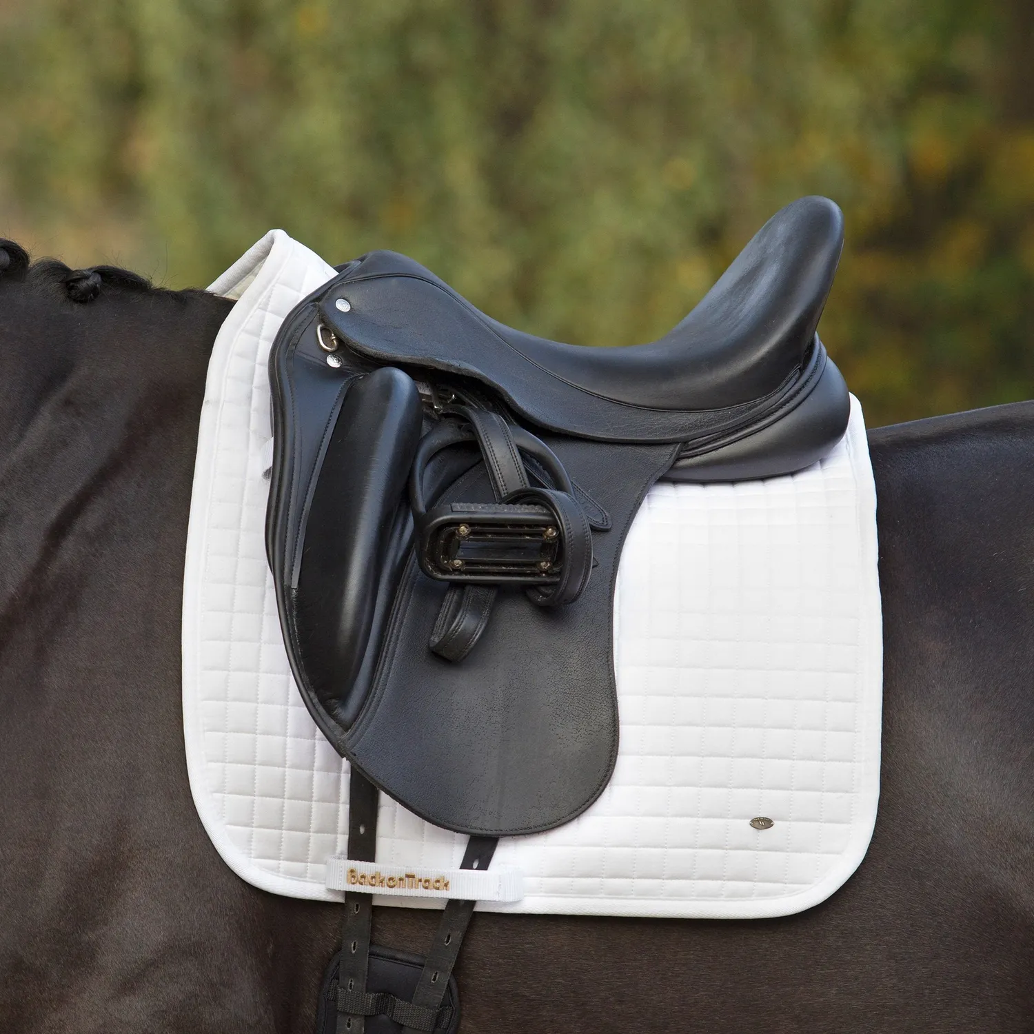 Back on Track Tapis de selle dressage No 1 noir