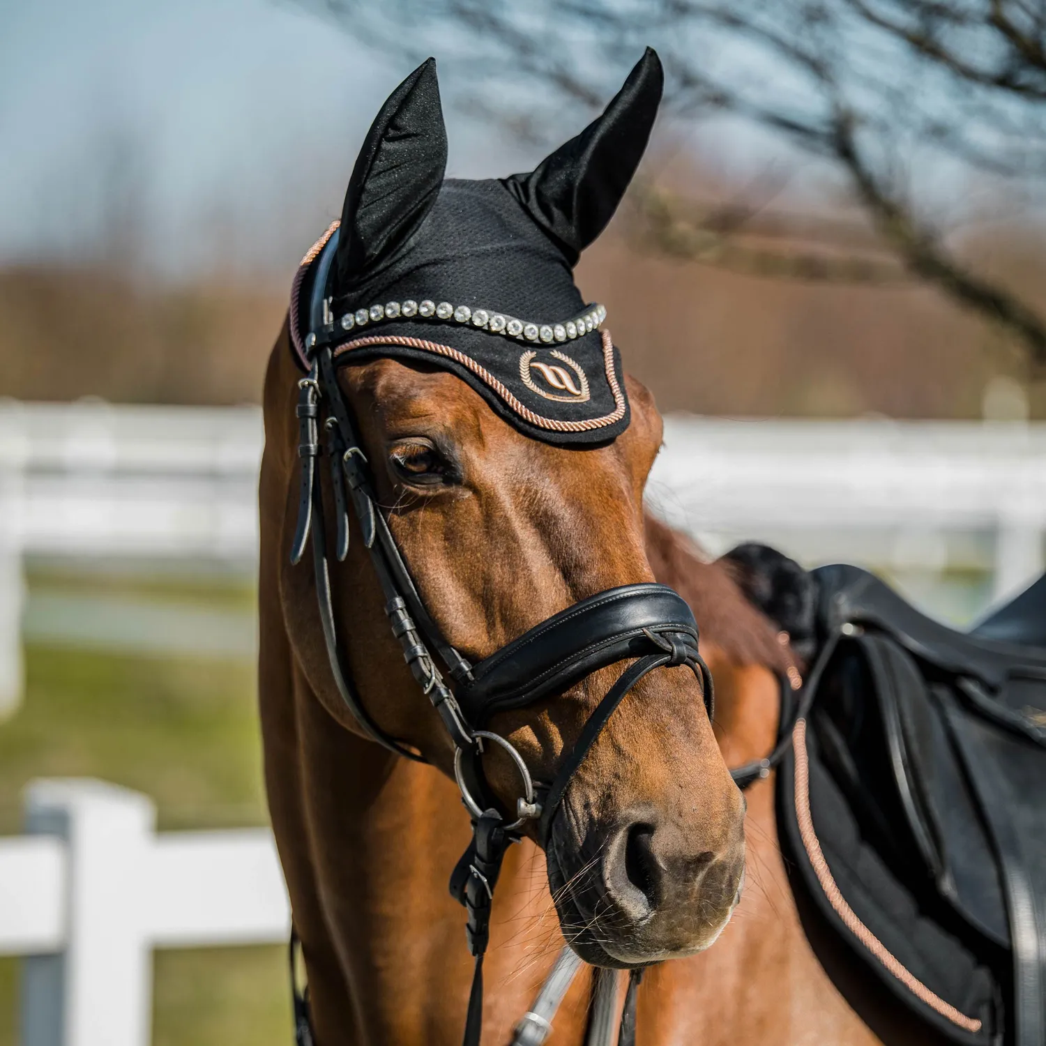Back on Track Haze Collection bonnet cheval noir anti-mouches