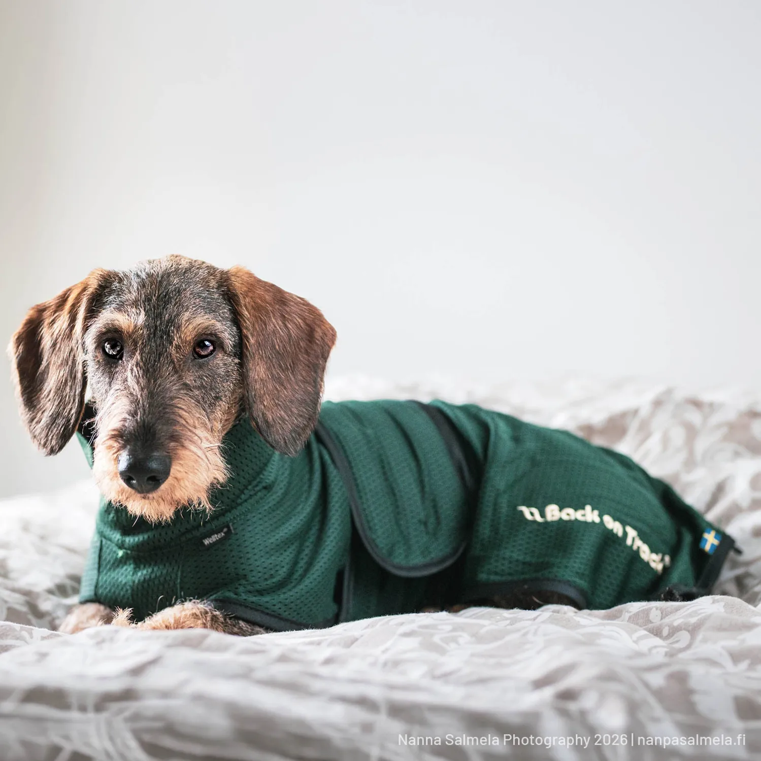 Back on Track Buddy manteau chien noir 50 cm respirant