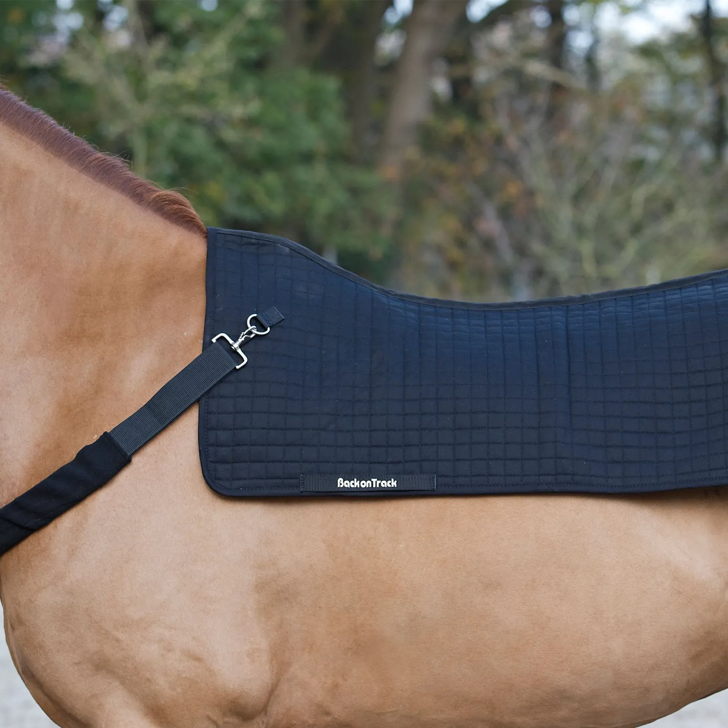 Back on Track Backwarmer Royal couvre-dos cheval 80x105