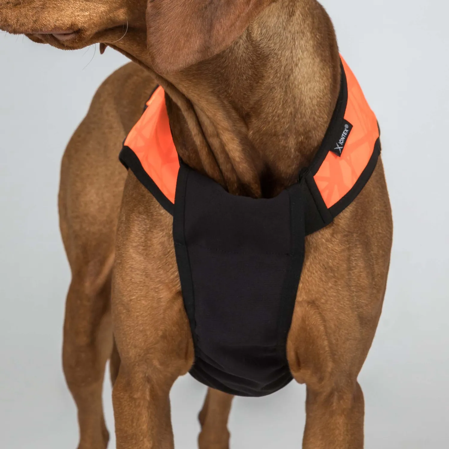 Back on Track TRAKK 2.0 gilet chien chasse orange M réfléchissant