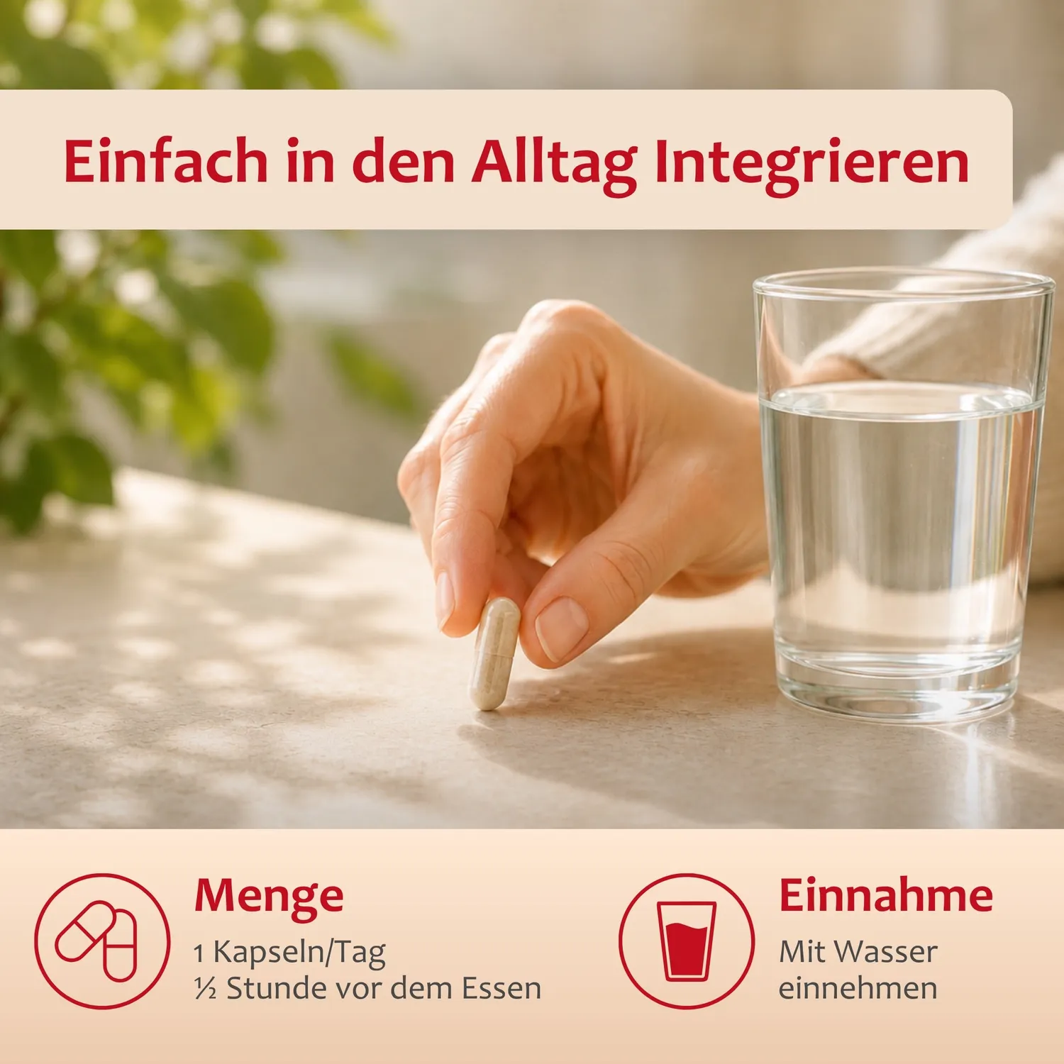 Staudt Antioxidans Forte complément antioxydant