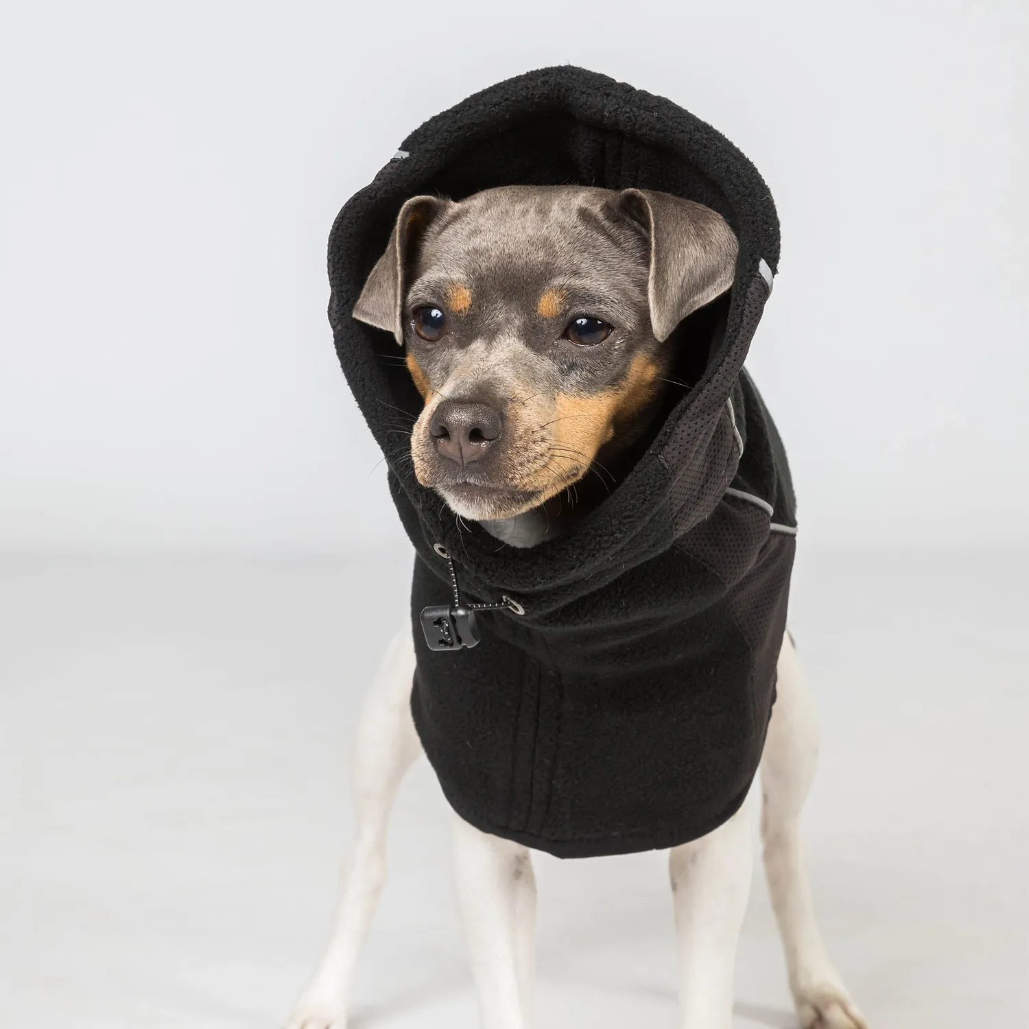 Back on Track Benji cache-cou chien noir chaud