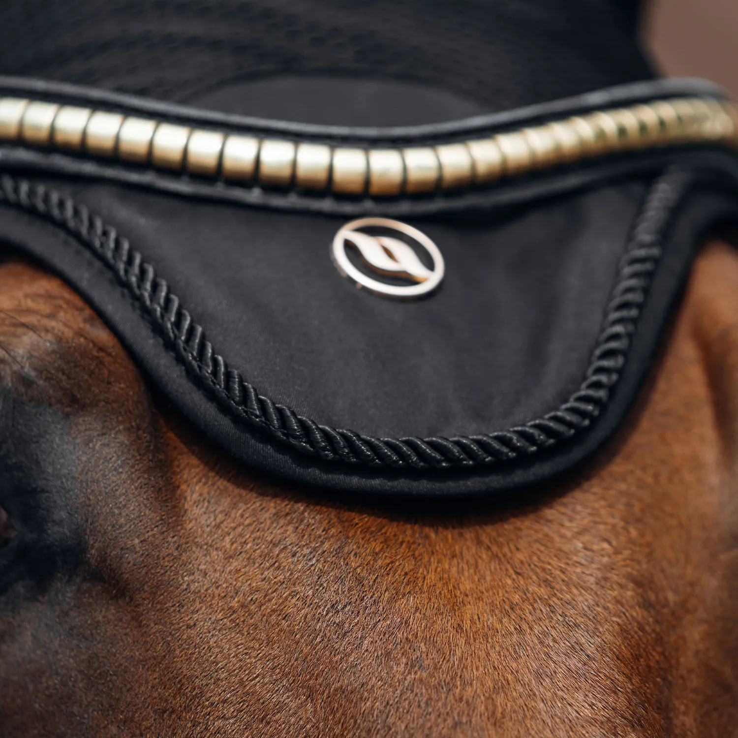 Back on Track Deep Nights bonnet cheval noir Full circulation