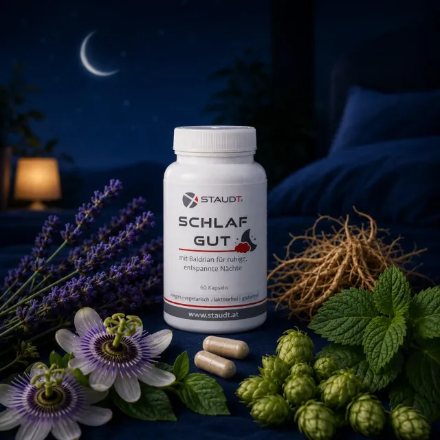 Staudt Schlaf Gut gélules sommeil nuit