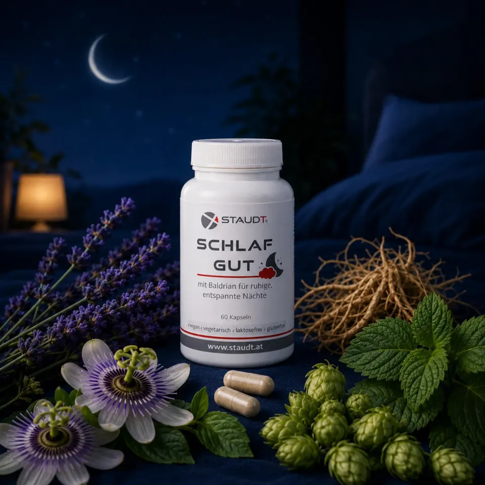 Staudt Schlaf Gut gélules sommeil nuit