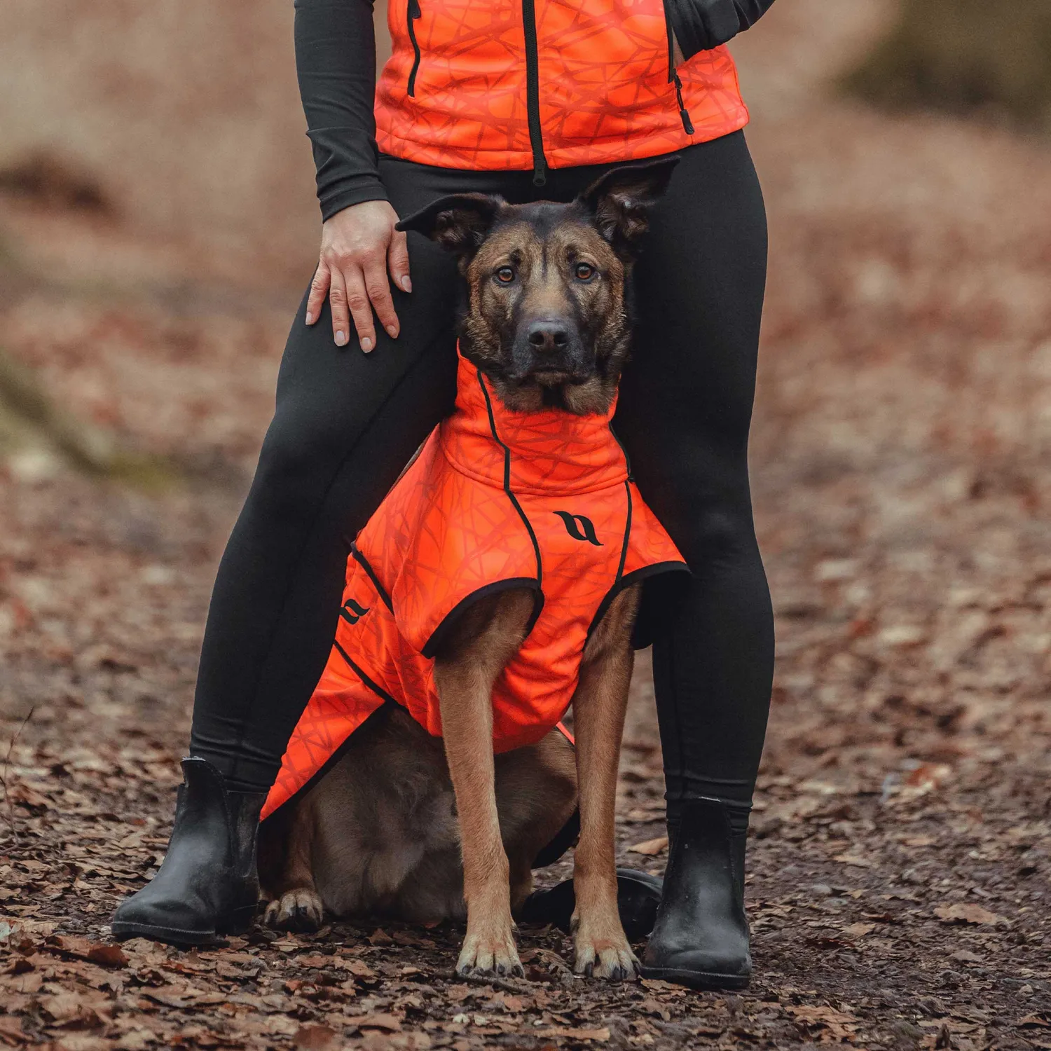 Back on Track Bark manteau chien noir réfléchissant softshell