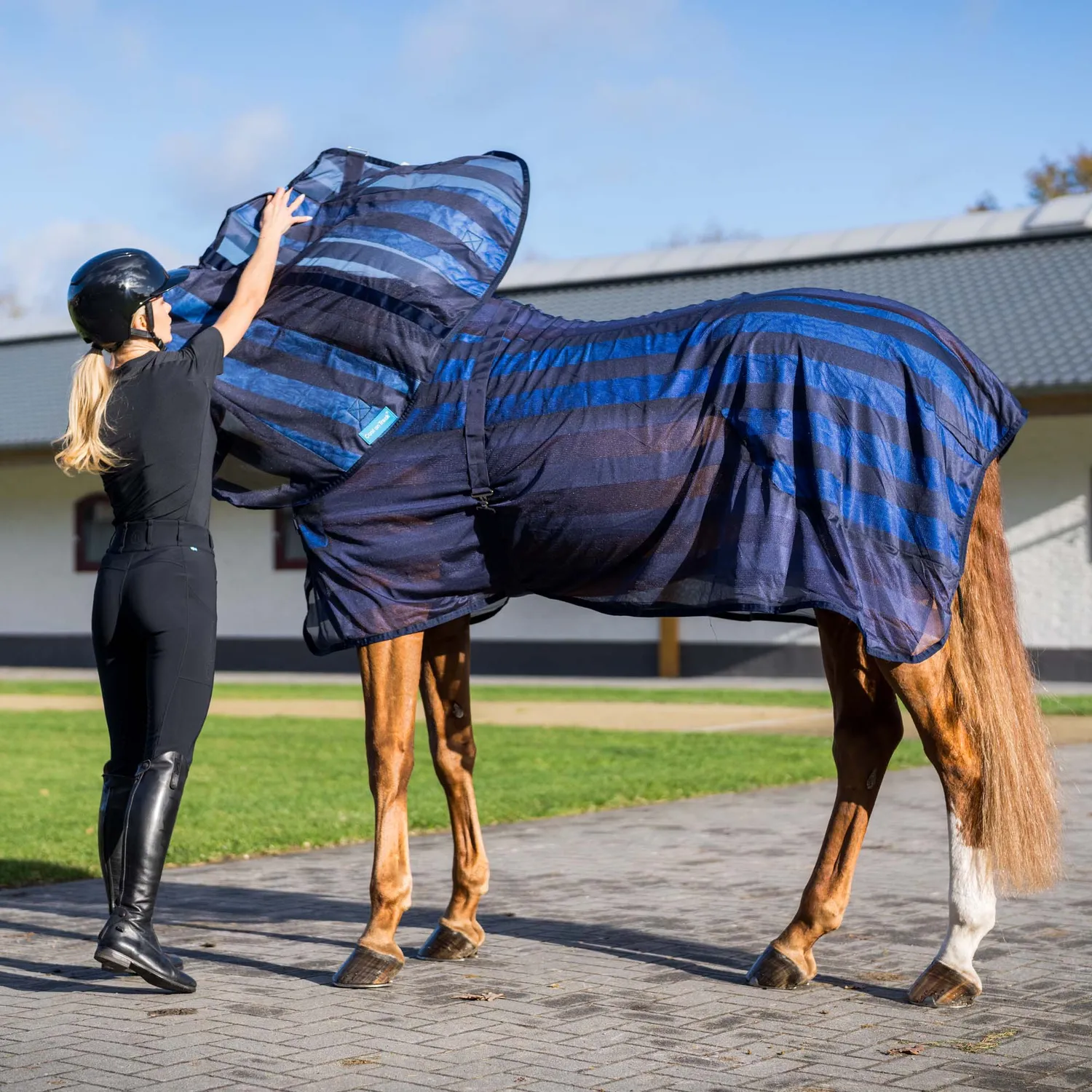 Back on Track Cool on Track couvre-cou cheval bleu M