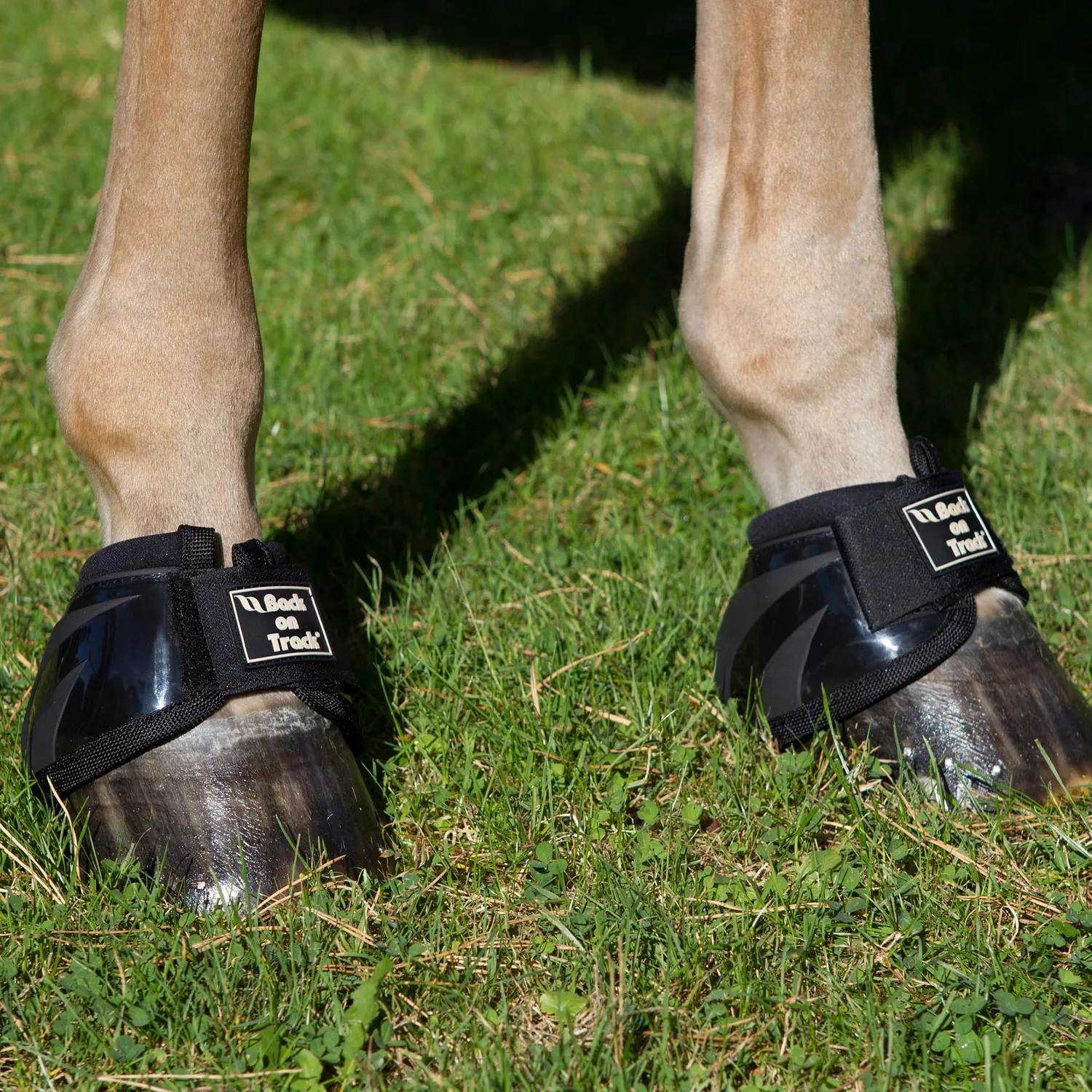 Back on Track Performance cloches cheval noir M paire