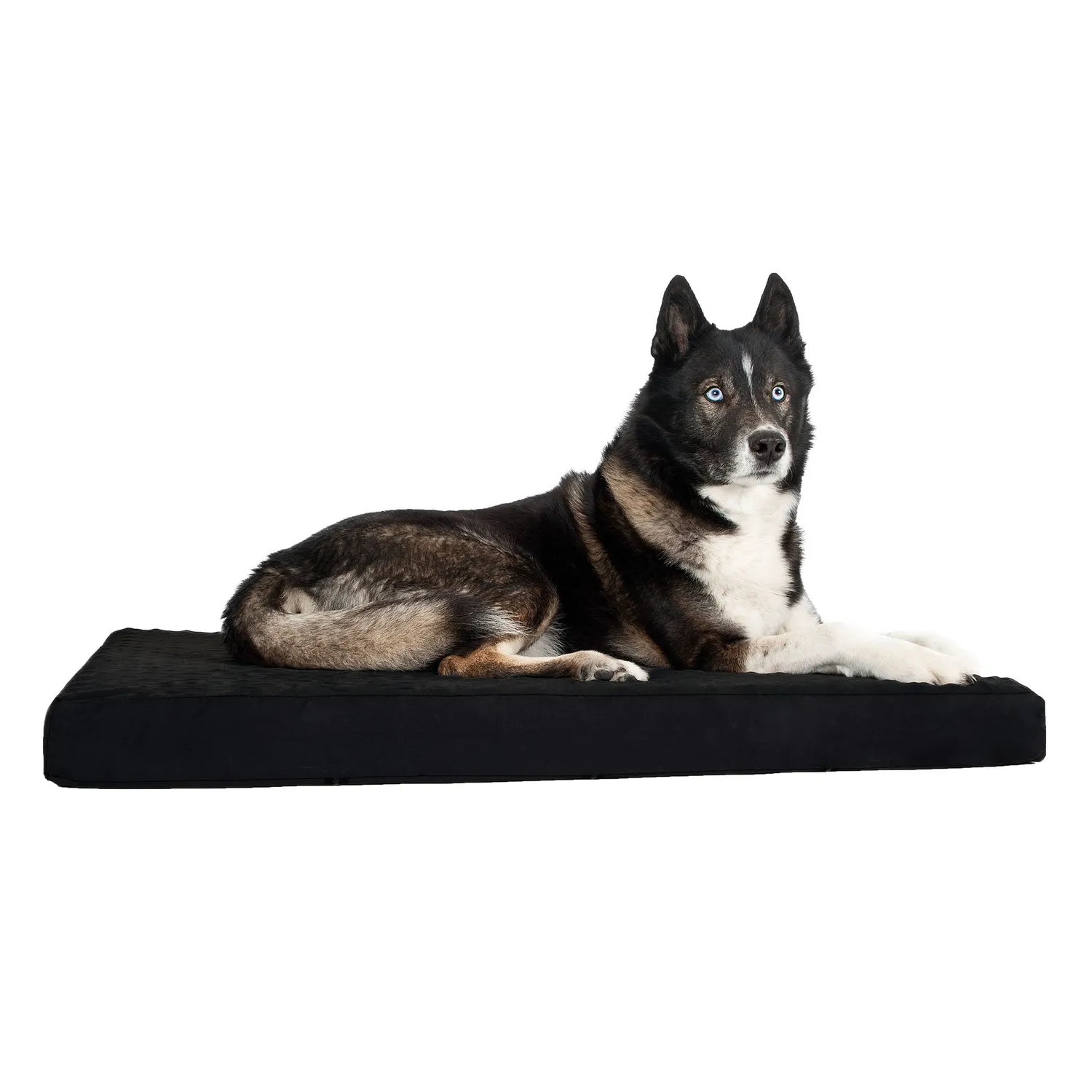 Back on Track matelas chien noir 80x100x9 cm mémoire