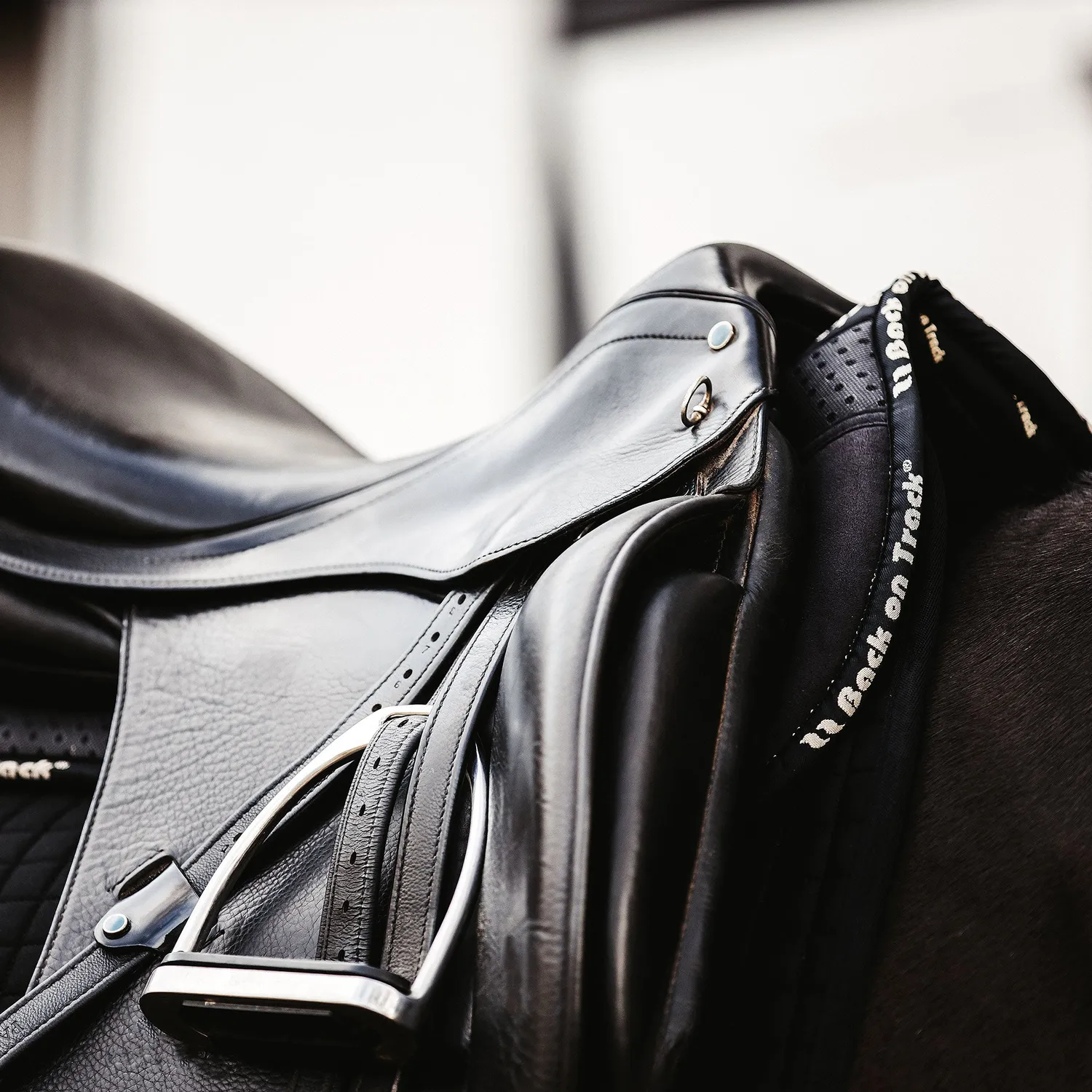 Back on Track Aurora Impact amortisseur cheval noir respirant