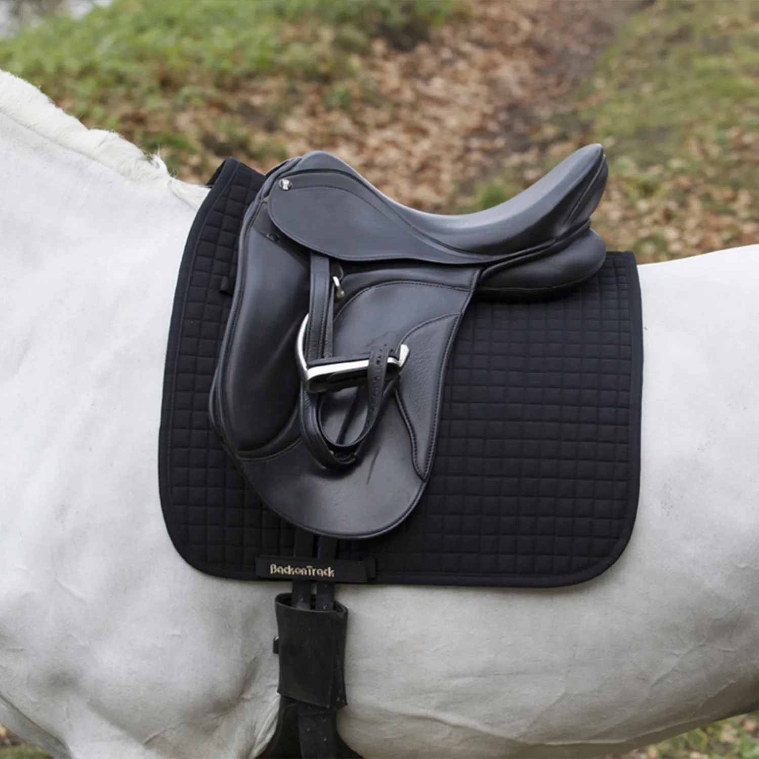 Back on Track Tapis de selle dressage No 1 noir