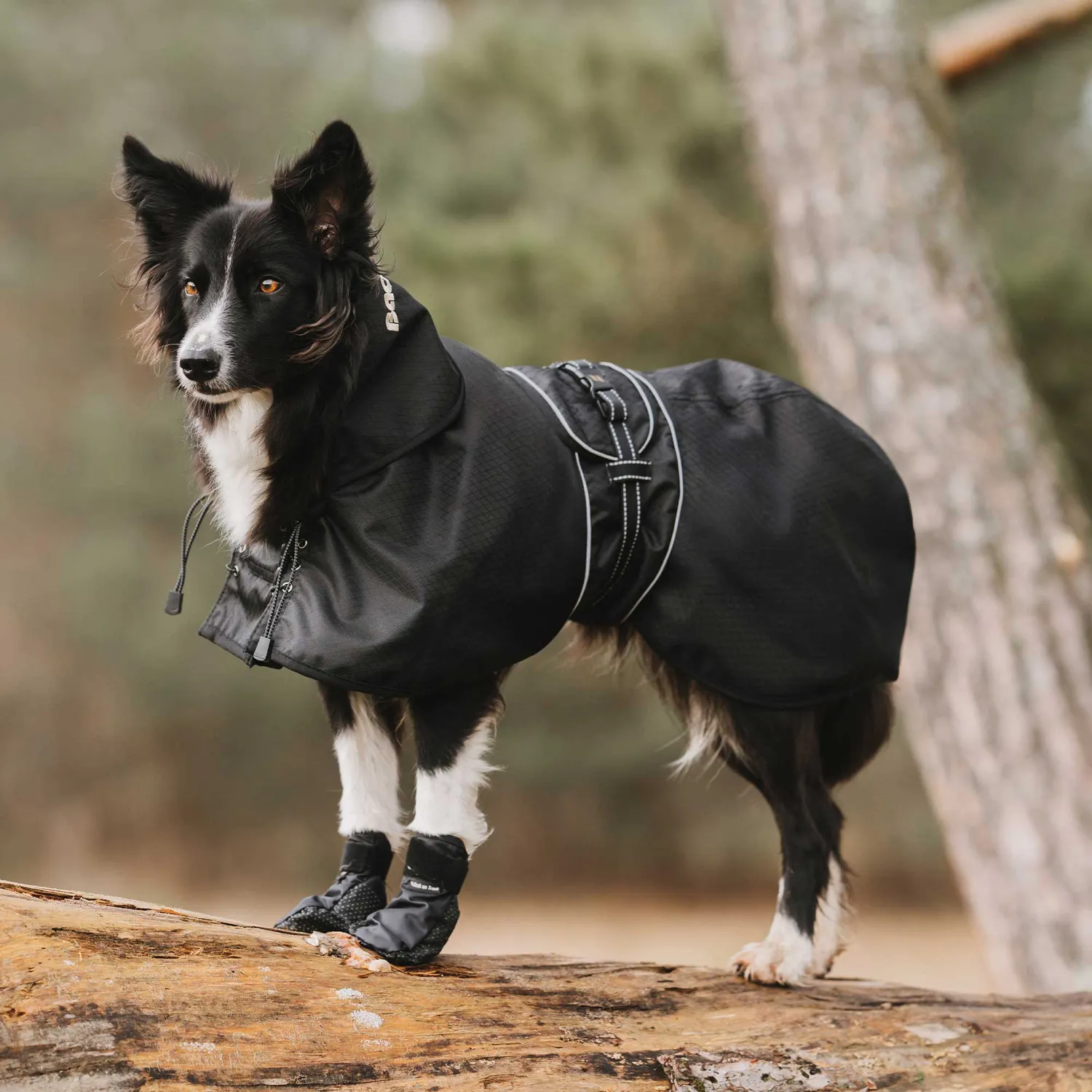 Back on Track manteau chien imperméable doublé noir 110g circulation