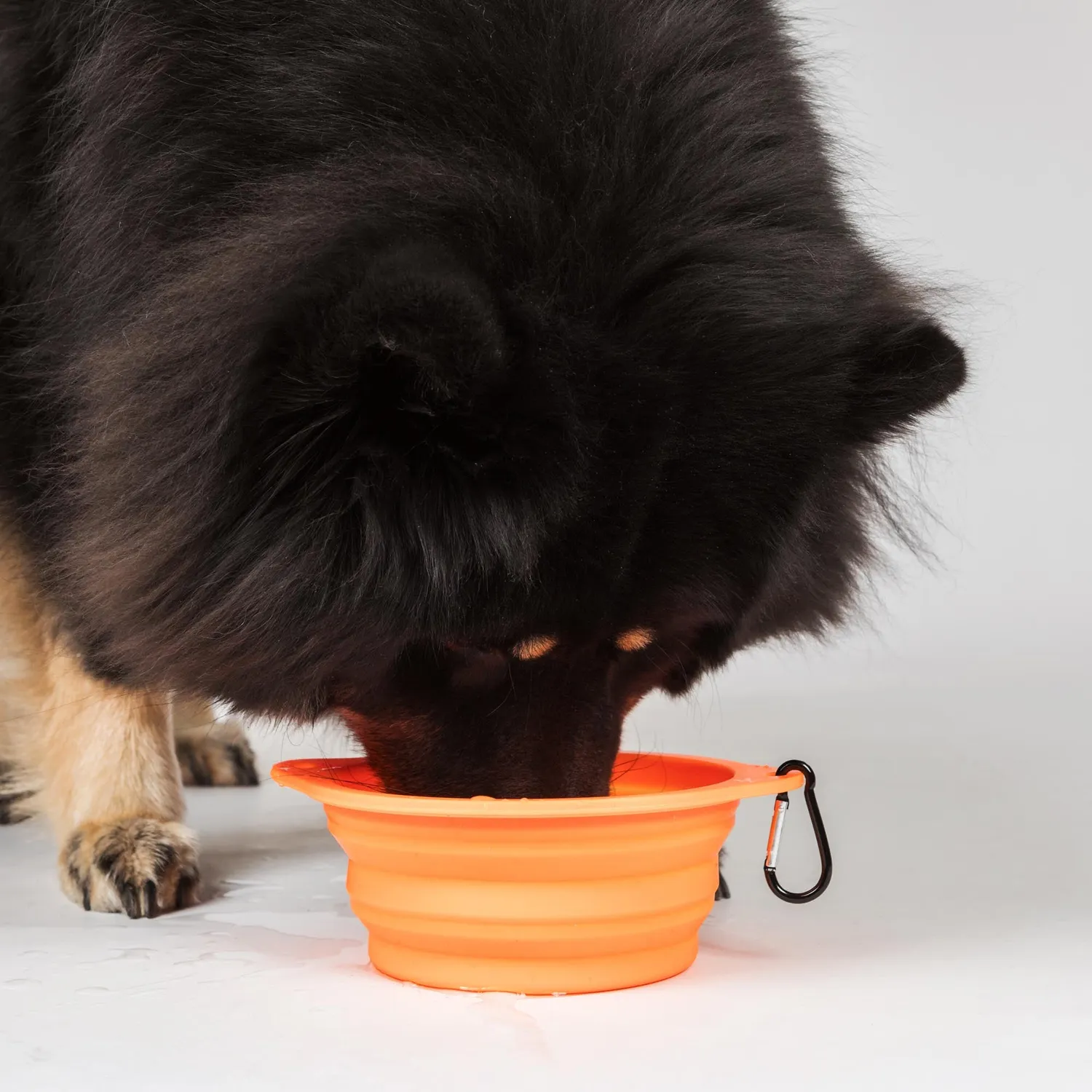 Back on Track gamelle chien silicone pliable orange mousqueton