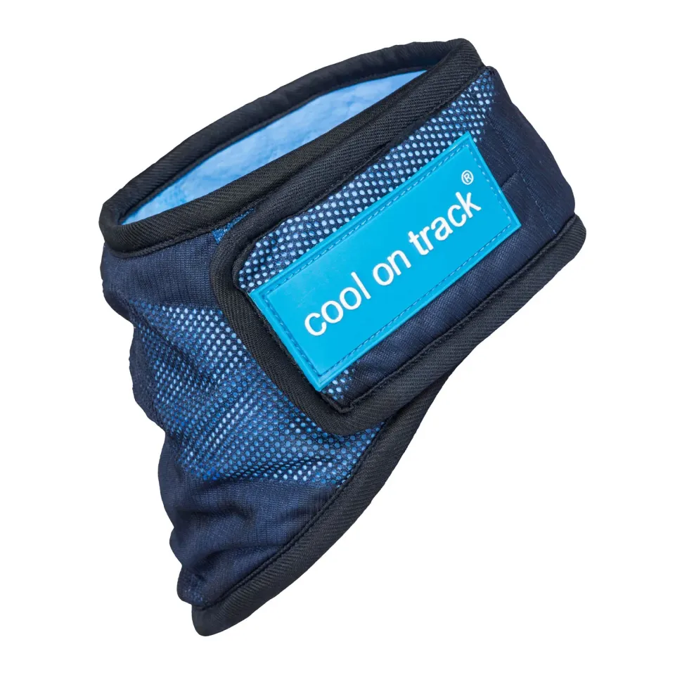 Back on Track Cool on Track bandana chien bleu M rafraîchissant