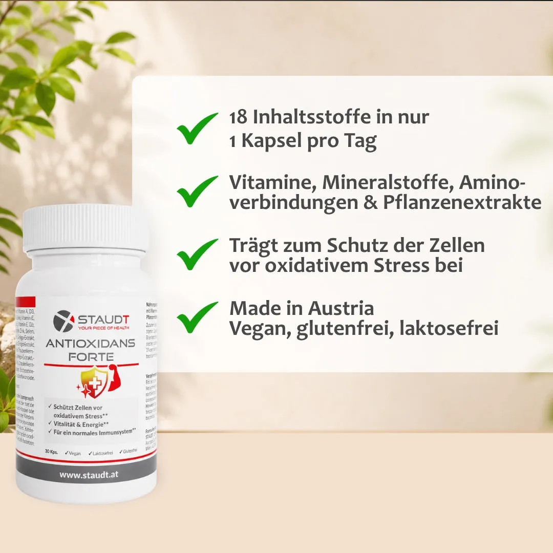 Staudt Antioxidans Forte complément antioxydant