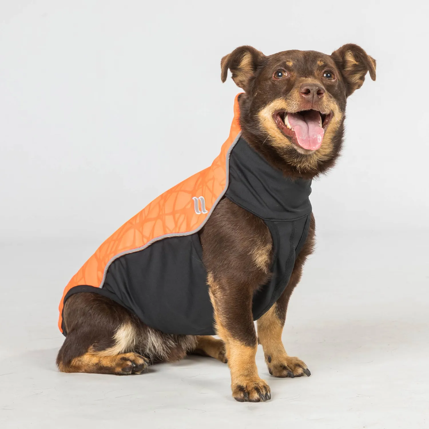 Back on Track Eddie pull pour chien orange 30 Iontex
