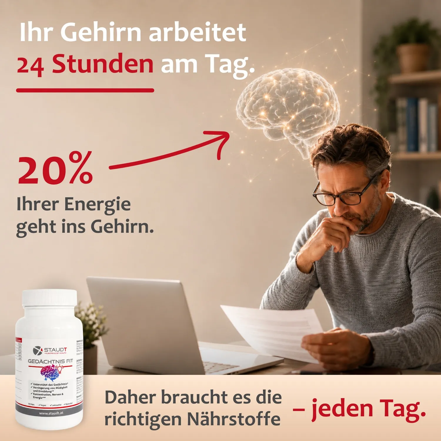 Staudt Gedächtnis Fit complément mémoire concentration