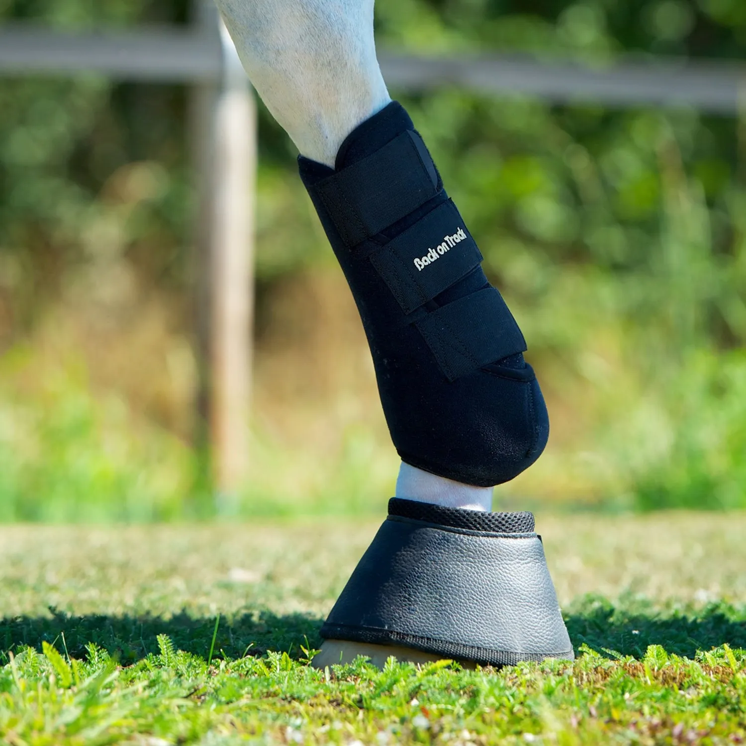 Back on Track Exercise Boots guêtres postérieures noir M céramique