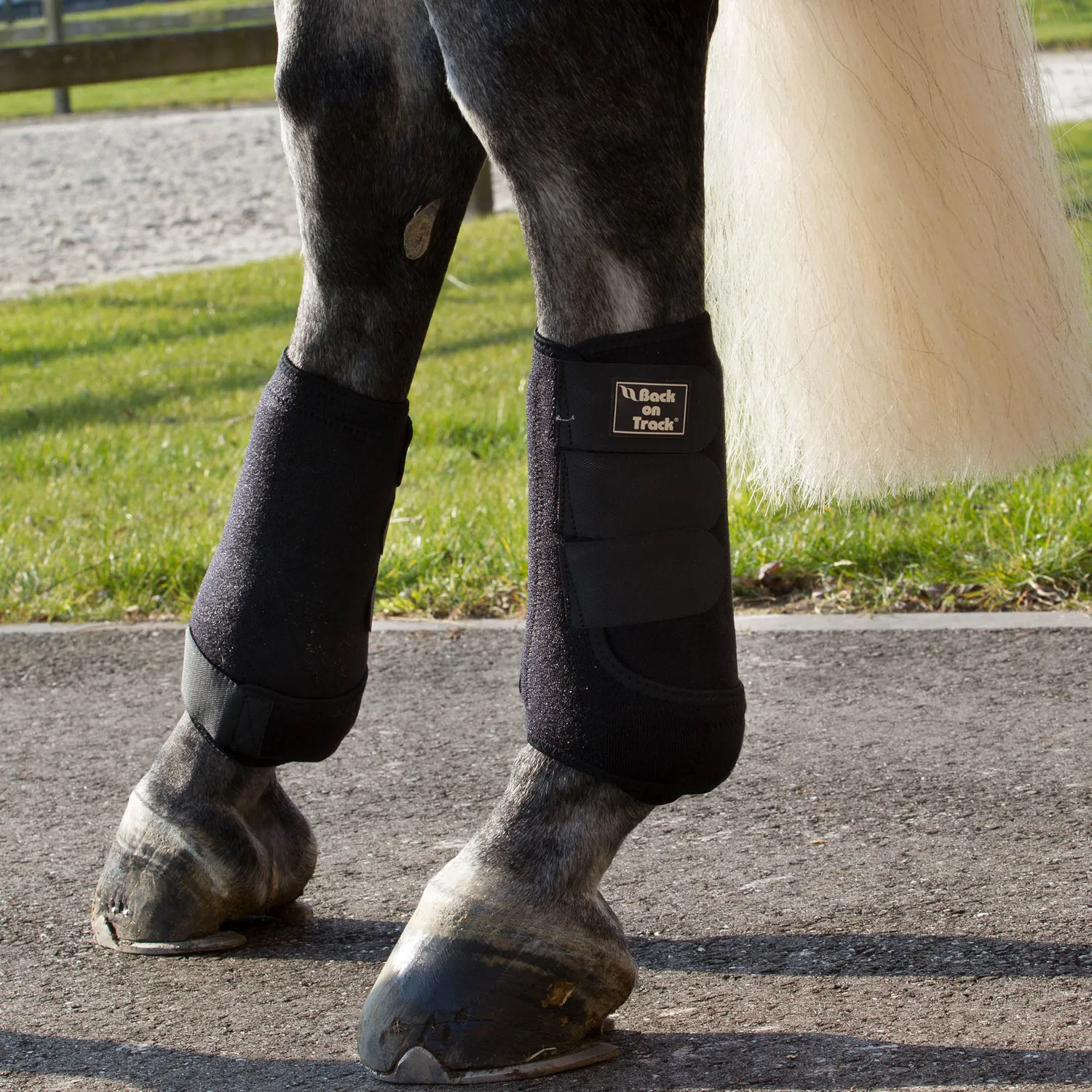 Back on Track Royal guêtres exercice noires S tendon