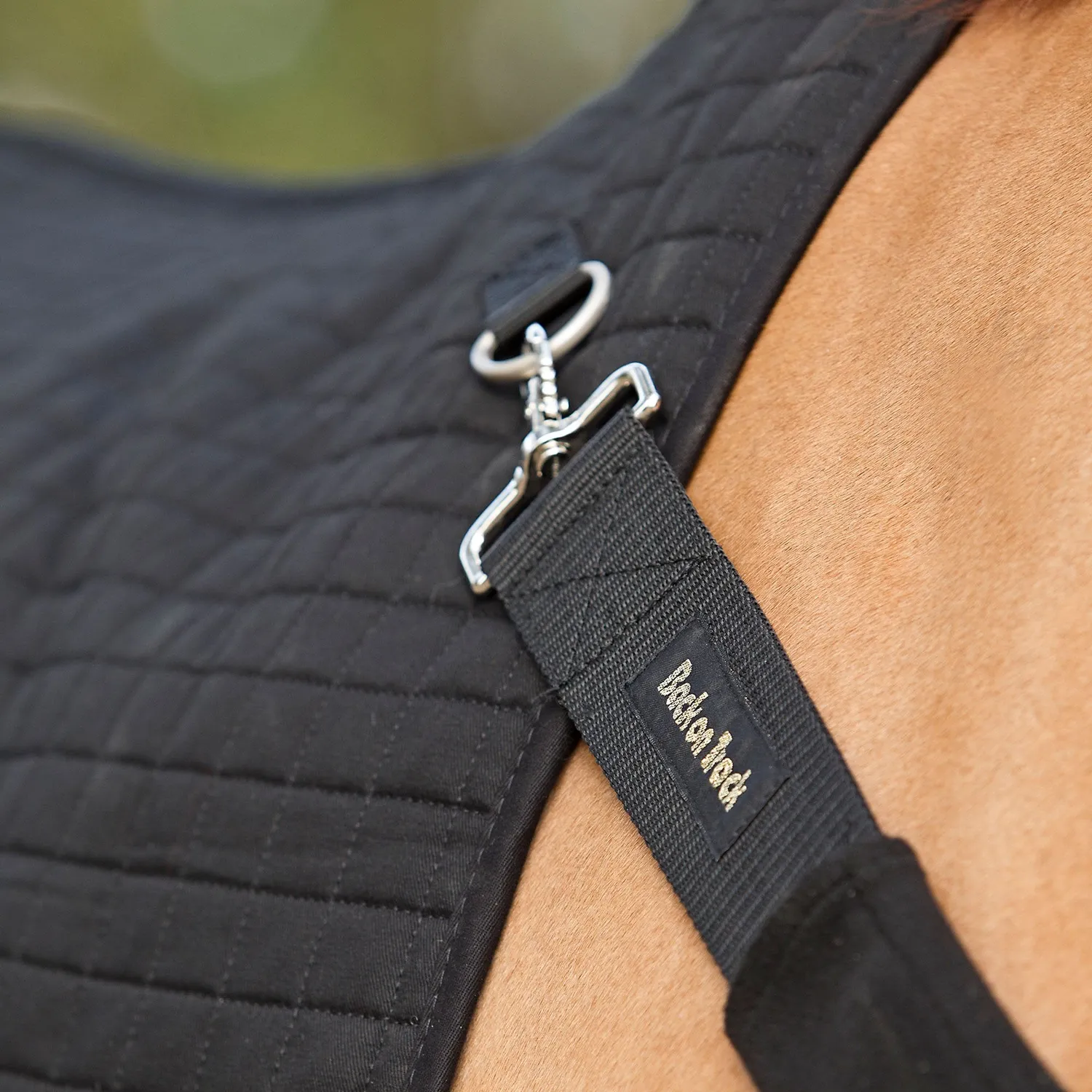 Back on Track Backwarmer sangle poitrail noir taille unique