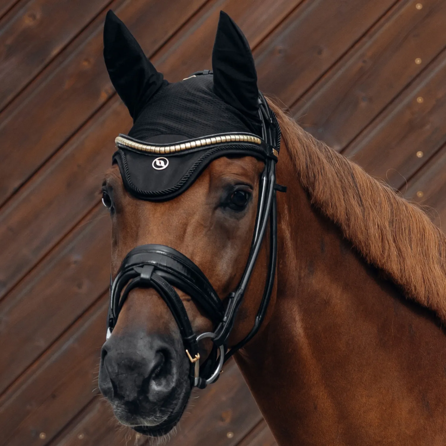 Back on Track Deep Nights bonnet cheval noir Full circulation