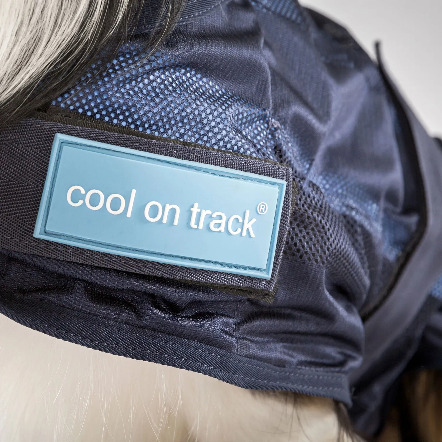 Back on Track Cool on Track manteau chien bleu