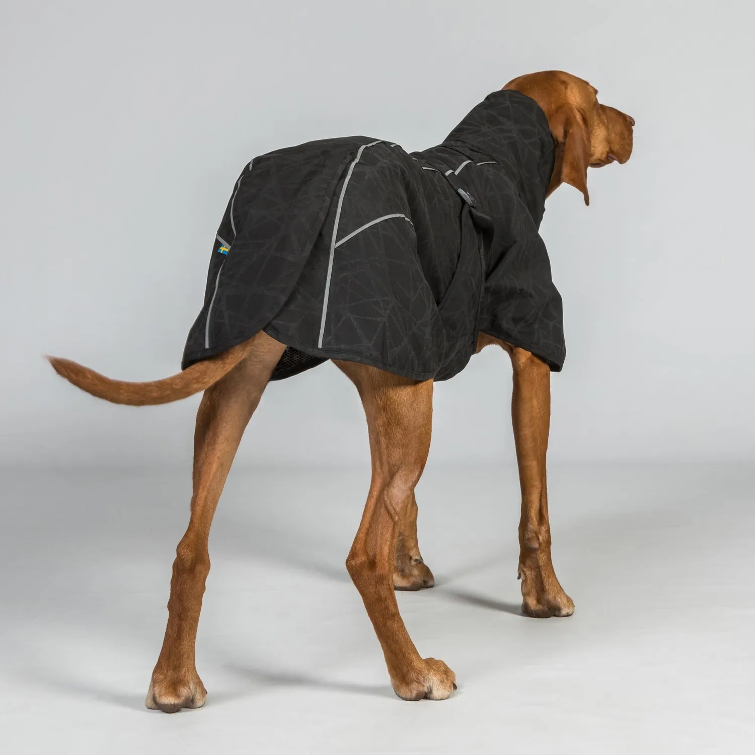 Back on Track Bay manteau pluie chien queue basse imperméable