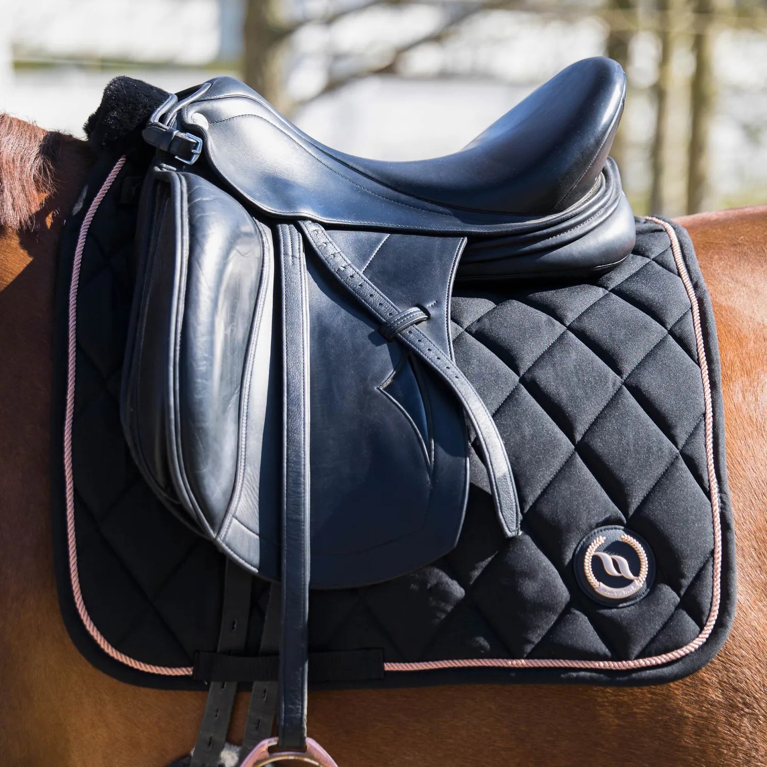 Back on Track Haze tapis dressage cheval noir Full Welltex
