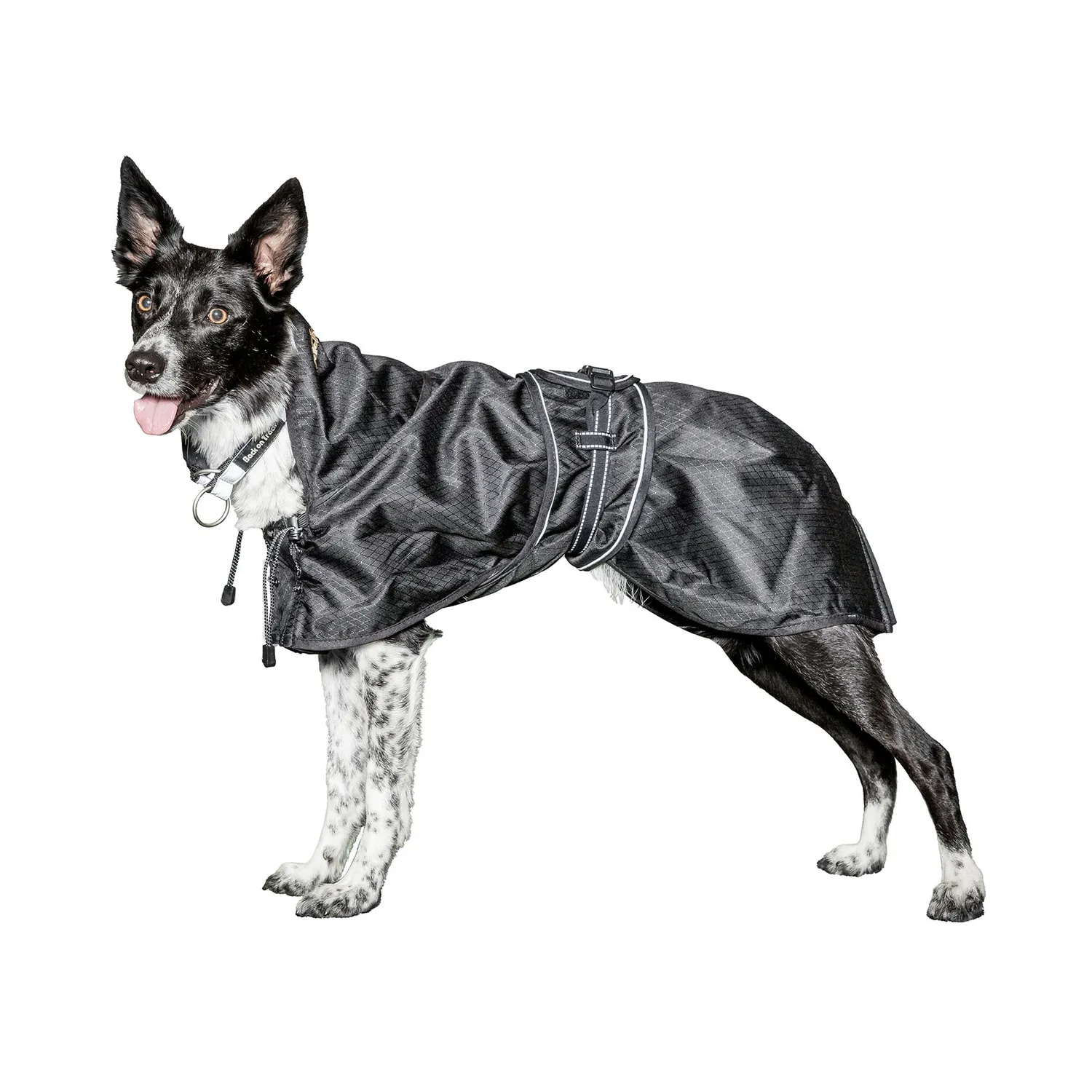 Back on Track Manteau imperméable chien noir 52 cm Welltex