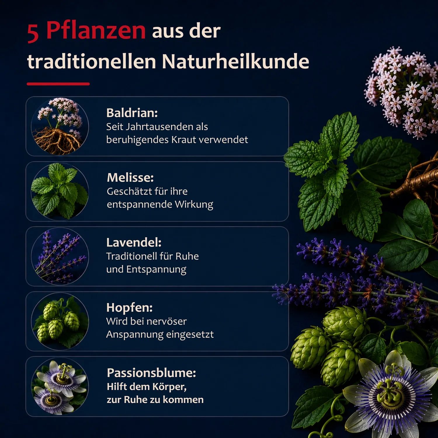 Staudt Schlaf Gut gélules sommeil nuit