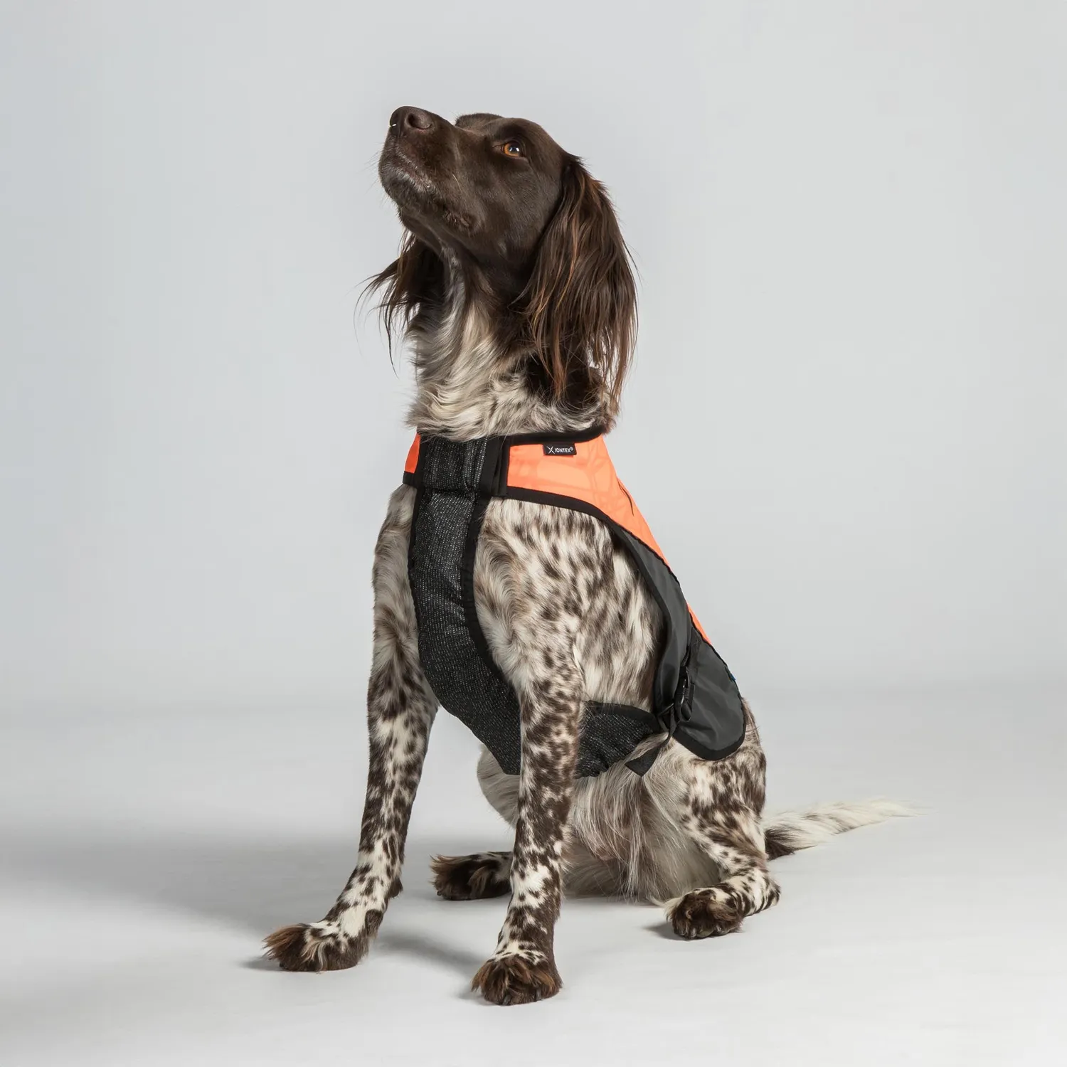 Back on Track Trakk gilet chien orange réfléchissant