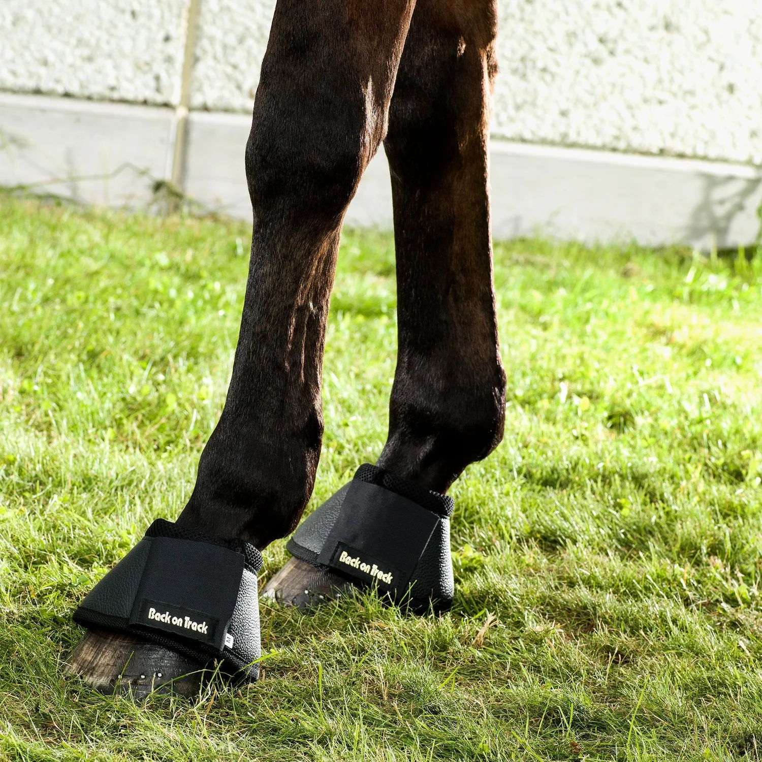 Back on Track Bell Boots cloches cheval noir S Welltex
