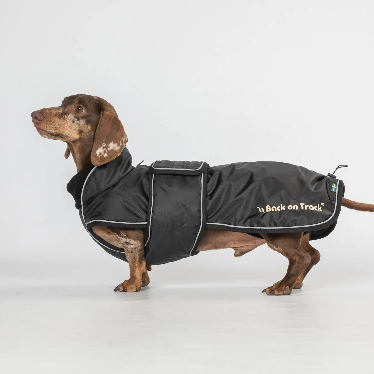 Back on Track Buddy manteau chien noir 44 cm