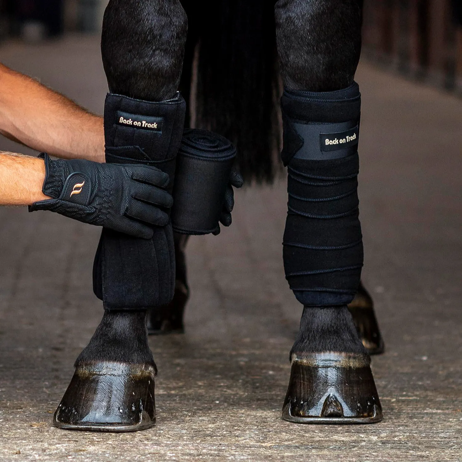 Back on Track Bandes polaire cheval noir 3,35 m