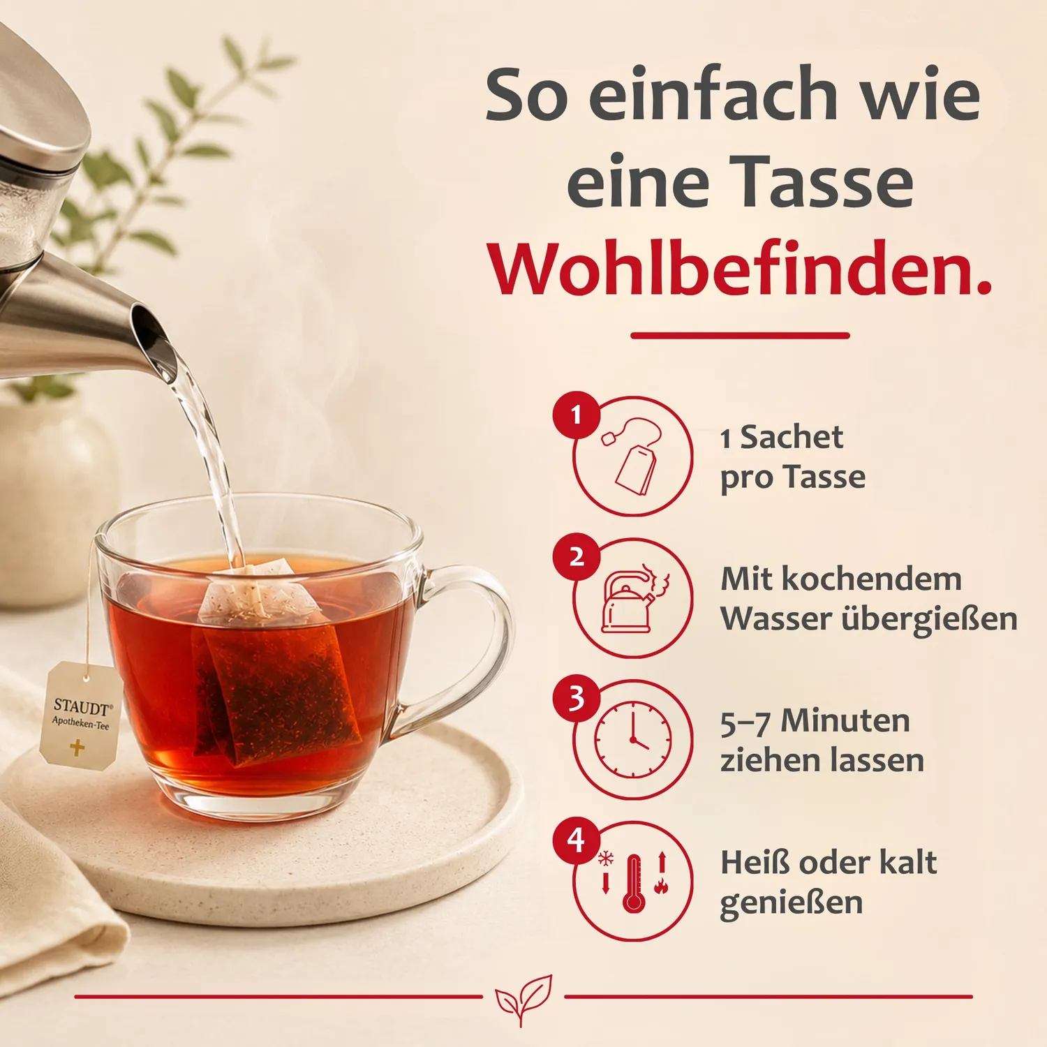 Staudt Fit-Tee thé infusion forme